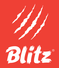 Blitz(Блиц)
