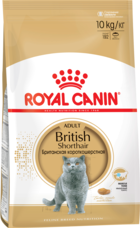 Royal Canin Adult British Shorthair
