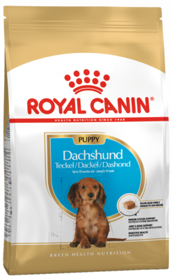 Royal Canin Puppy Dachshund
