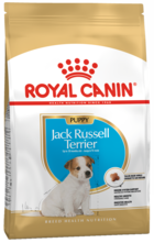 Royal Canin Puppy Jack Russell Terrier