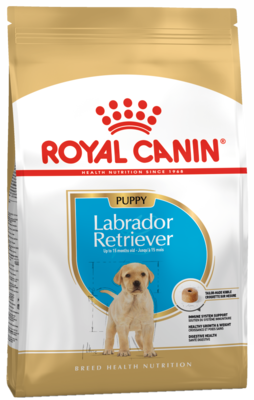 Royal Canin Puppy Labrador Retriever