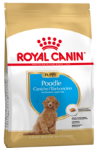 Royal Canin Puppy Poodle