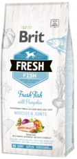 Brit Fresh Fish with Pumpkin for Large Breed Adult Dogs