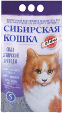 Сибирская Кошка Прима