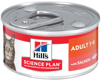 Hill's Science Plan Adult 1-6 with Salmon (паштет, банка)