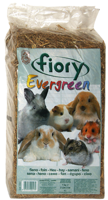 Fiory Evergreen