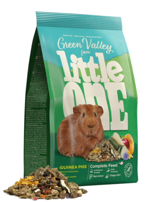 Little One Green Valley Guinea Pigs