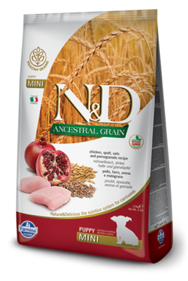 N&D Ancestral Grain Chicken, Spelt, Oats and Pomegranate Recipe Puppy Mini