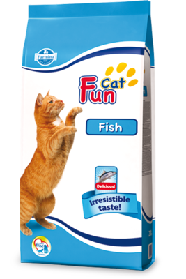 Fun Cat Fish