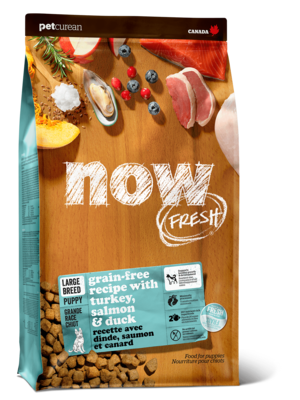 now FRESH Large Breed Puppy Grain-free Recipe with Turkey, Salmon & Duck