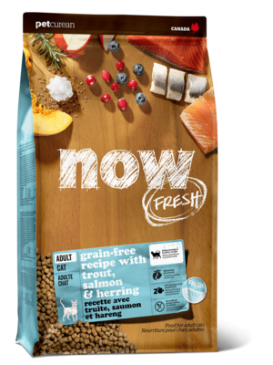 now FRESH Adult Cat Grain-free Recipe with Trout, Salmon & Herring