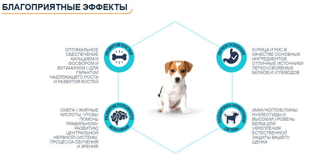 Puppy перевод на русский. Состав Эдванса для собак. Щенок Эдванс Mini Puppy Schedule.