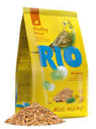 Rio в Период Линьки Волнистые Попугайчики