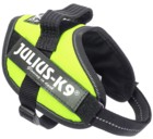 JULIUS-K9 шлейка для собак IDC®-Powerharness, зеленый неон
